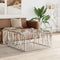 vidaXL - Salontafel - 100x100x50 - cm - roestvrij - staal - en - glas