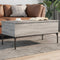 vidaXL - Salontafel - 100x50x45 - cm - bewerkt - hout - en - metaal - grijs - sonoma