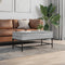 vidaXL - Salontafel - 100x50x45 - cm - bewerkt - hout - en - metaal - grijs - sonoma