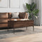 vidaXL - Salontafel - 100x50x45 - cm - bewerkt - hout - en - metaal - bruin - eikenkleur