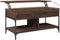 vidaXL - Salontafel - 100x50x50 - cm - bewerkt - hout - en - metaal - bruineikenkleur