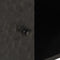 vidaXL - Salontafel - 100x54x40 - cm - massief - mangohout - zwart