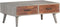 vidaXL - Salontafel - 100x60x40 - cm - massief - ruw - mangohout - grijs