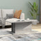 vidaXL - Salontafel - 102x55,5x40 - cm - bewerkt - hout - grijs - sonoma - eikenkleur