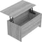 vidaXL - Salontafel - 102x55,5x52,5 - cm - bewerkt - hout - grijs - sonoma - eiken