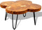 vidaXL - Salontafel - 4 - boomstammen - 35 - cm - massief - sheeshamhout
