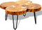 vidaXL - Salontafel - 4 - boomstammen - 35 - cm - massief - sheeshamhout