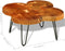 vidaXL - Salontafel - 4 - boomstammen - 35 - cm - massief - sheeshamhout