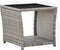 vidaXL - Salontafel - 45x45x40 - cm - poly - rattan - en - glas - grijs
