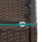 vidaXL - Salontafel - 60x40x36 - cm - poly - rattan - bruin