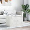 vidaXL - Salontafel - 67x50x44 - cm - staal - wit