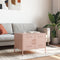 vidaXL - Salontafel - 68x50x50,5 - cm - staal - roze