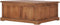 vidaXL - Salontafel - 68x68x30 - cm - massief - teakhout