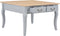 vidaXL - Salontafel - 80x80x50 - cm - hout - grijs