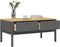 vidaXL - Salontafel - FLORO - 99x55,5x45 - cm - massief - grenenhout - grijs