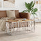vidaXL - Salontafel - roestvrij - staal - en - massief - gerecycled - hout - zilver