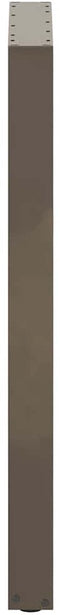 vidaXL - Salontafelpoten - 2 - st - U-vormig - 60x(100-101) - cm - staal - naturel
