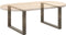 vidaXL - Salontafelpoten - 2 - st - U-vormig - 60x(42-43) - cm - staal - naturel