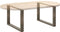 vidaXL - Salontafelpoten - 2 - st - U-vormig - 70x(42-43) - cm - staal - naturel