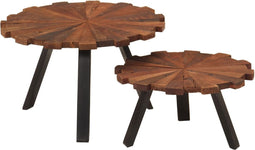 vidaXL - Salontafels - 2 - st - massief - gerecycled - hout - en - ijzer