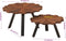 vidaXL - Salontafels - 2 - st - massief - gerecycled - hout - en - ijzer