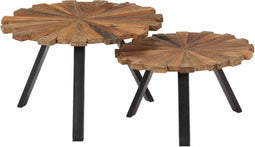 vidaXL - Salontafels - 2 - st - massief - gerecycled - hout
