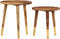 vidaXL - Salontafels - 2 - st - massief - hout