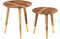 vidaXL - Salontafels - 2 - st - massief - hout