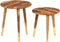 vidaXL - Salontafels - 2 - st - massief - hout