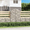 vidaXL - Schanskorf - gewelfd - 100x30x140/160 - cm - gegalvaniseerd - ijzer