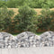 vidaXL - Schanskorf - gewelfd - 100x30x40/60 - cm - gegalvaniseerd - ijzer