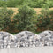 vidaXL - Schanskorf - gewelfd - 100x50x40/60 - cm - gegalvaniseerd - ijzer
