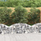vidaXL - Schanskorf - gewelfd - 150x30x40/60 - cm - gegalvaniseerd - ijzer
