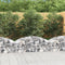 vidaXL - Schanskorf - gewelfd - 150x50x40/60 - cm - gegalvaniseerd - ijzer