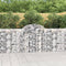 vidaXL - Schanskorf - gewelfd - 200x30x100/120 - cm - gegalvaniseerd - ijzer