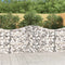 vidaXL - Schanskorf - gewelfd - 200x30x100/120 - cm - gegalvaniseerd - ijzer