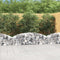 vidaXL - Schanskorf - gewelfd - 200x30x40/60 - cm - gegalvaniseerd - ijzer
