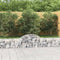 vidaXL - Schanskorf - gewelfd - 200x30x40/60 - cm - gegalvaniseerd - ijzer