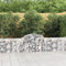 vidaXL - Schanskorf - gewelfd - 200x30x60/80 - cm - gegalvaniseerd - ijzer