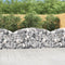 vidaXL - Schanskorf - gewelfd - 200x30x80/100 - cm - gegalvaniseerd - ijzer