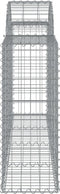 vidaXL - Schanskorf - gewelfd - 200x30x80/100 - cm - gegalvaniseerd - ijzer