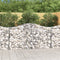 vidaXL - Schanskorf - gewelfd - 200x50x100/120 - cm - gegalvaniseerd - ijzer