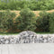 vidaXL - Schanskorf - gewelfd - 200x50x40/60 - cm - gegalvaniseerd - ijzer