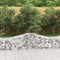 vidaXL - Schanskorf - gewelfd - 200x50x40/60 - cm - gegalvaniseerd - ijzer