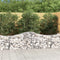 vidaXL - Schanskorf - gewelfd - 200x50x60/80 - cm - gegalvaniseerd - ijzer