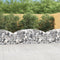 vidaXL - Schanskorf - gewelfd - 200x50x60/80 - cm - gegalvaniseerd - ijzer