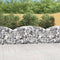 vidaXL - Schanskorf - gewelfd - 200x50x80/100 - cm - gegalvaniseerd - ijzer