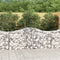 vidaXL - Schanskorf - gewelfd - 200x50x80/100 - cm - gegalvaniseerd - ijzer