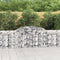 vidaXL - Schanskorf - gewelfd - 300x30x80/100 - cm - gegalvaniseerd - ijzer