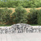 vidaXL - Schanskorf - gewelfd - 300x50x40/60 - cm - gegalvaniseerd - ijzer